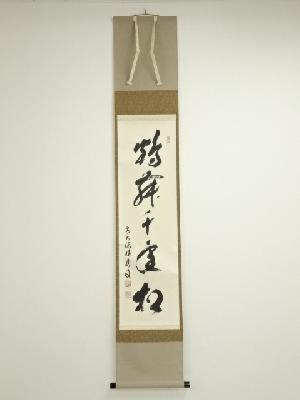 前大徳　福本積應筆　「松舞千年松」一行書　肉筆紙本掛軸（共箱）